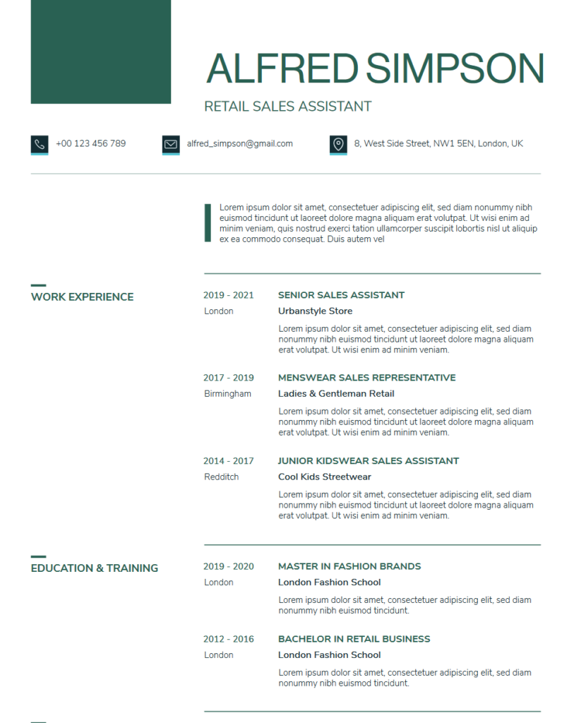 Professional CV Example 1 for Job Application Guidance